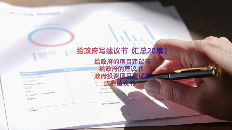 给政府写建议书（汇总20篇）