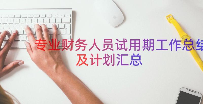 专业财务人员试用期工作总结及计划（汇总17篇）