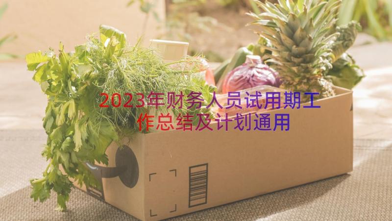 2023年财务人员试用期工作总结及计划（通用16篇）