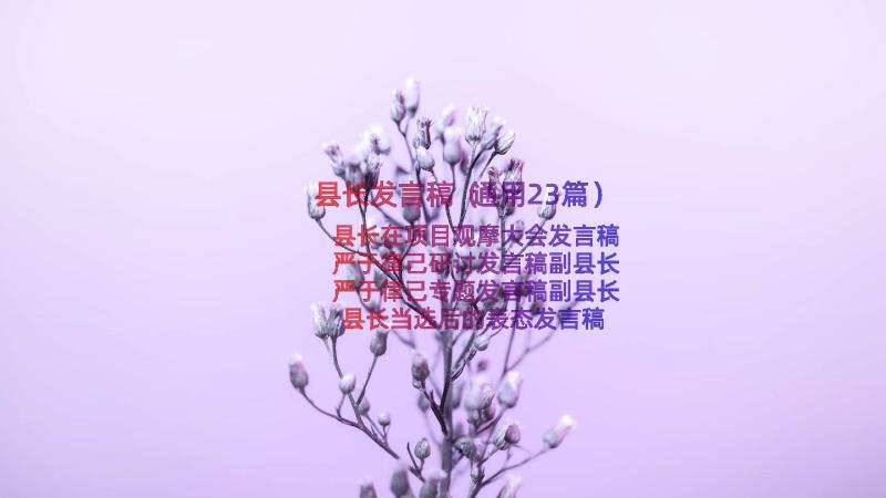 县长发言稿（通用23篇）