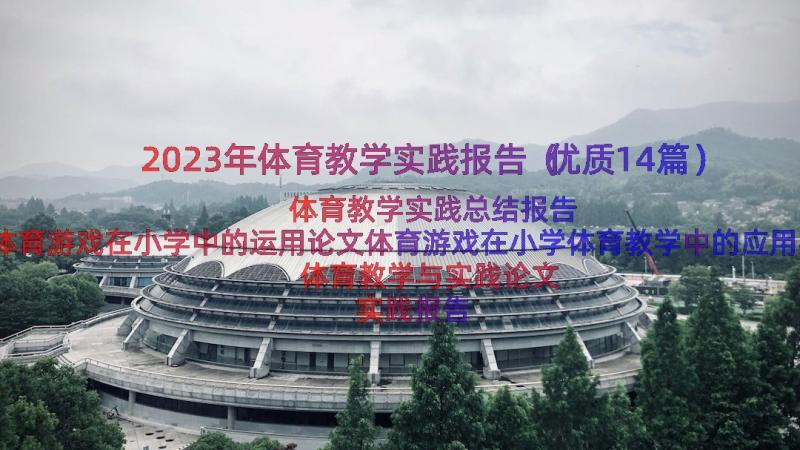 2023年体育教学实践报告（优质14篇）