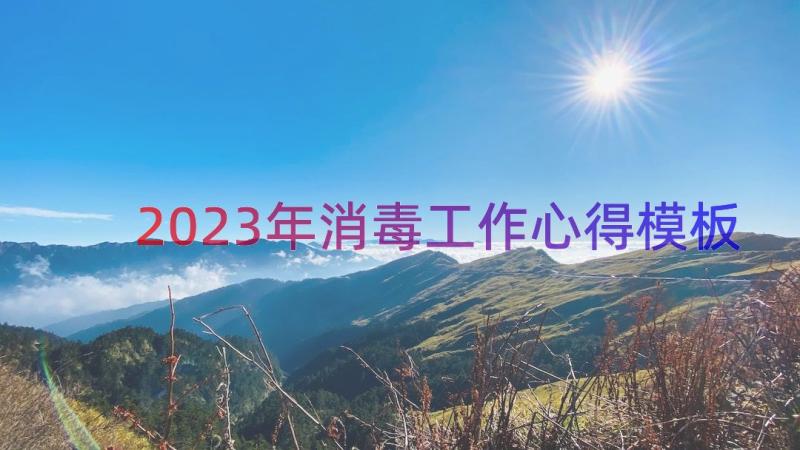 2023年消毒工作心得（模板16篇）