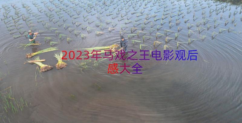 2023年马戏之王电影观后感大全（13篇）