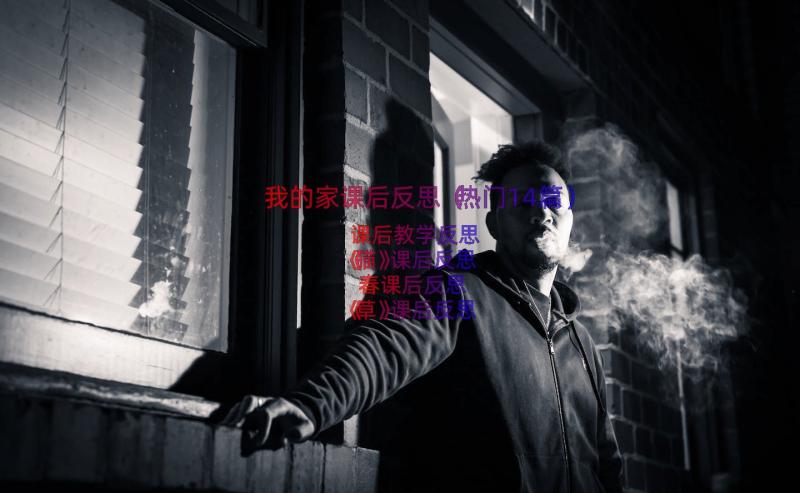 我的家课后反思（热门14篇）