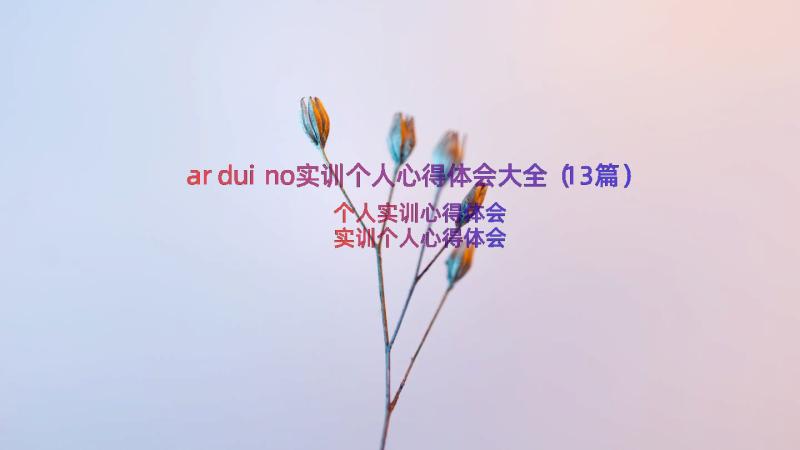 arduino实训个人心得体会大全（13篇）