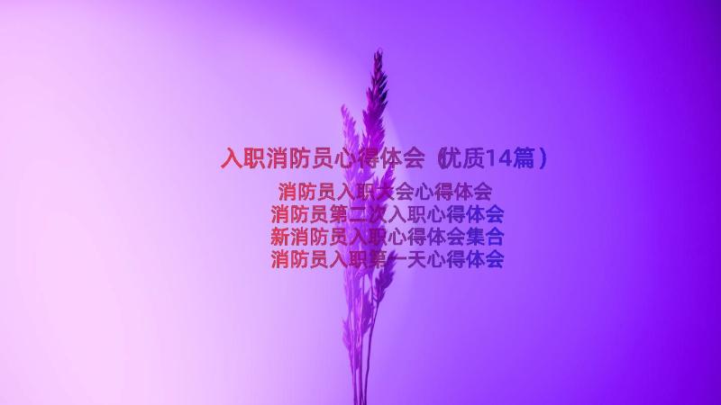 入职消防员心得体会（优质14篇）