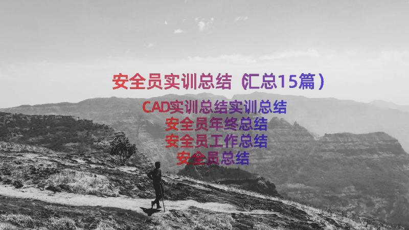 安全员实训总结（汇总15篇）