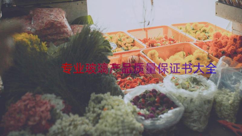 专业玻璃产品质量保证书大全（12篇）