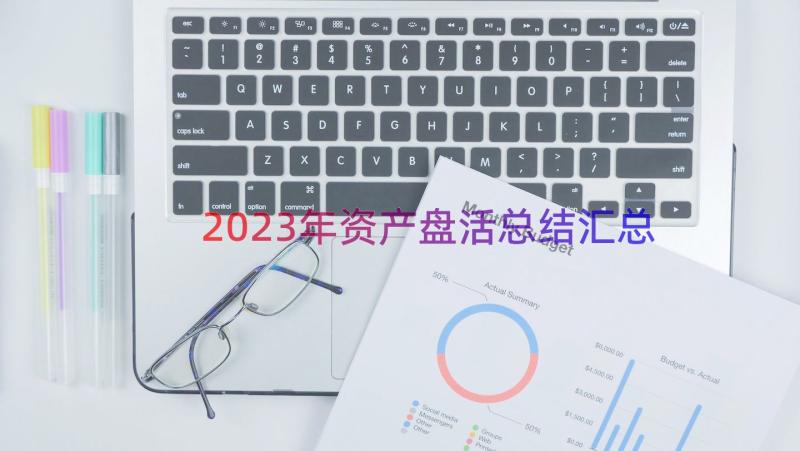 2023年资产盘活总结（汇总17篇）