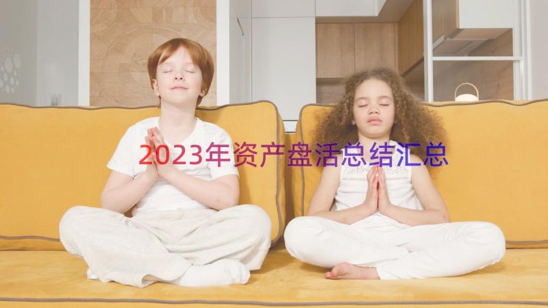 2023年资产盘活总结（汇总19篇）