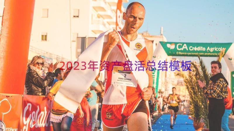 2023年资产盘活总结（模板18篇）