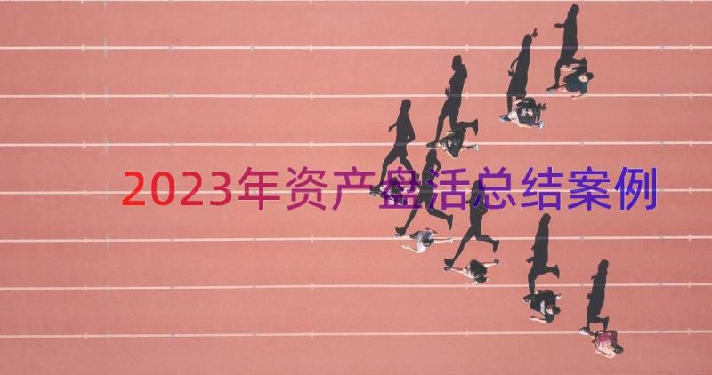 2023年资产盘活总结（案例16篇）