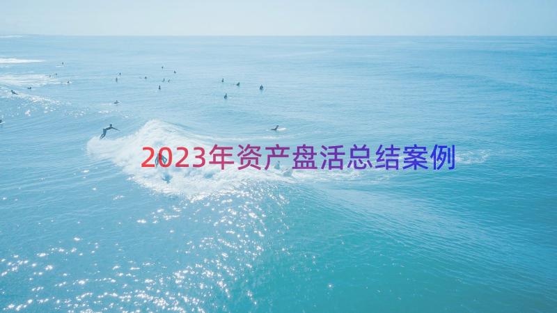 2023年资产盘活总结（案例14篇）