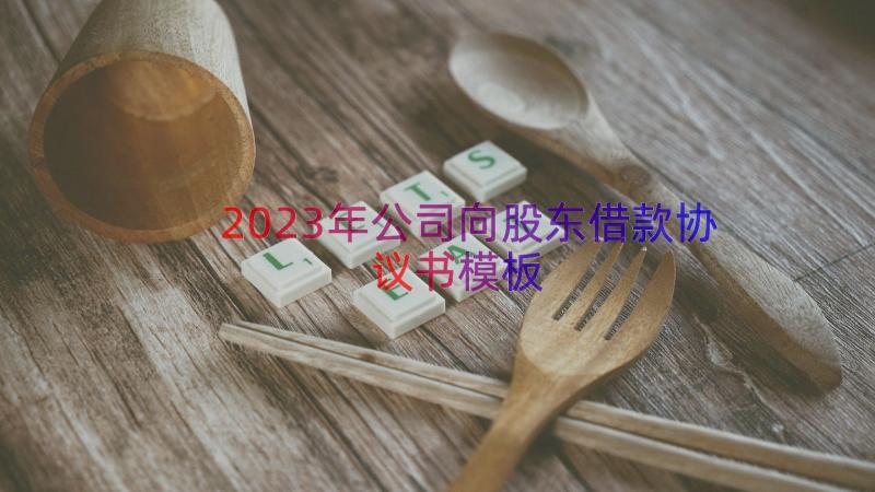 2023年公司向股东借款协议书（模板13篇）