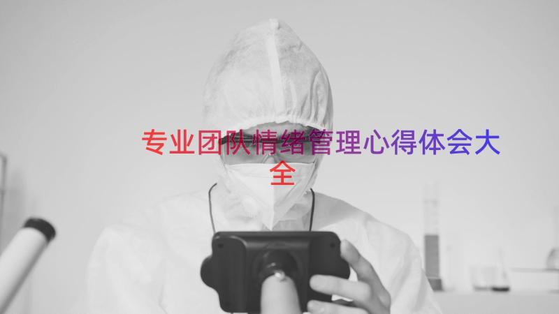 专业团队情绪管理心得体会大全（18篇）