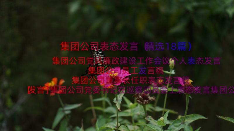 集团公司表态发言（精选18篇）