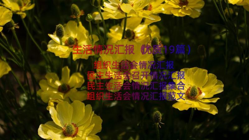 生活情况汇报（优质19篇）