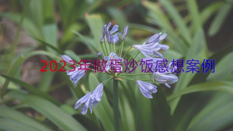 2023年做蛋炒饭感想（案例15篇）