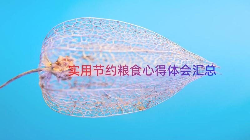 实用节约粮食心得体会（汇总13篇）