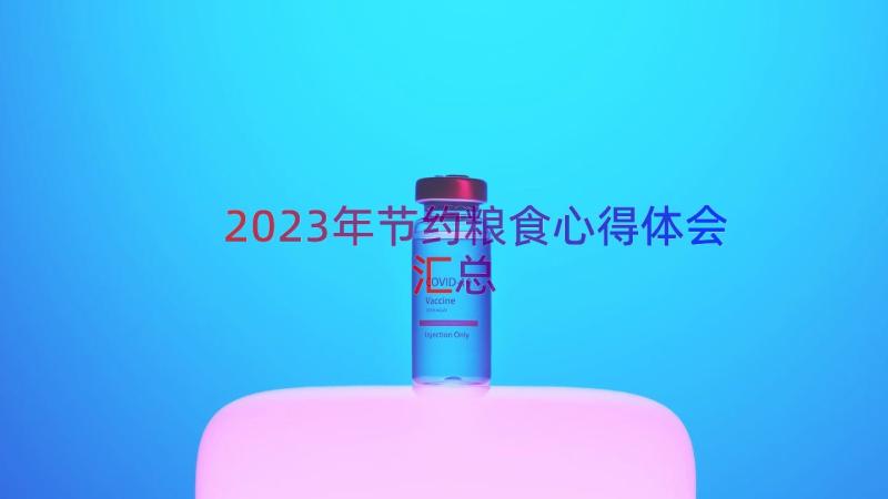 2023年节约粮食心得体会（汇总16篇）