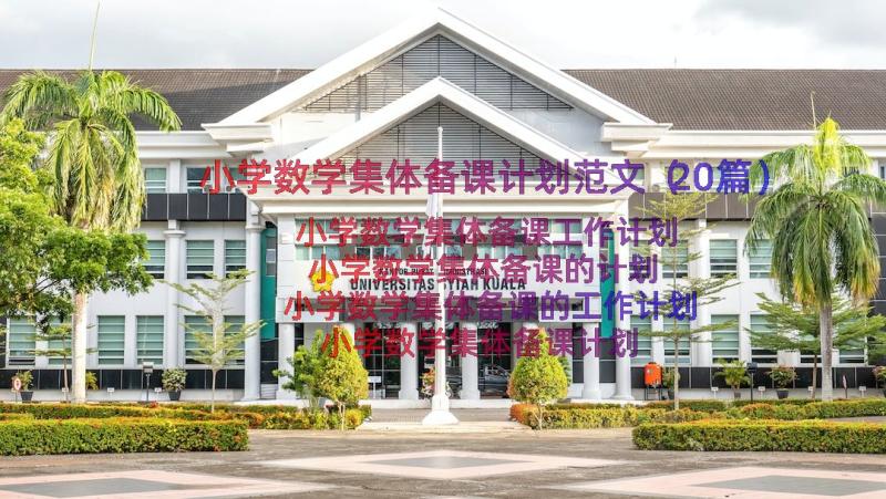 小学数学集体备课计划范文（20篇）