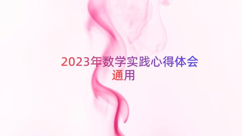 2023年数学实践心得体会（通用13篇）