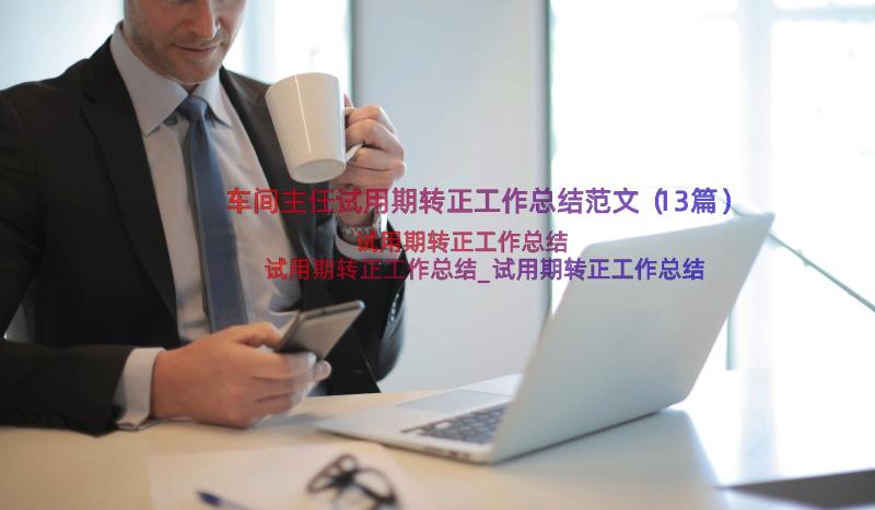 车间主任试用期转正工作总结范文（13篇）