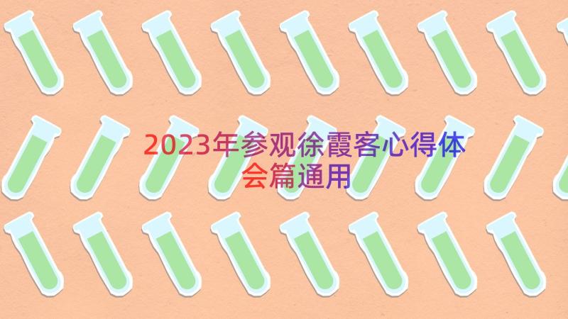 2023年参观徐霞客心得体会篇（通用12篇）