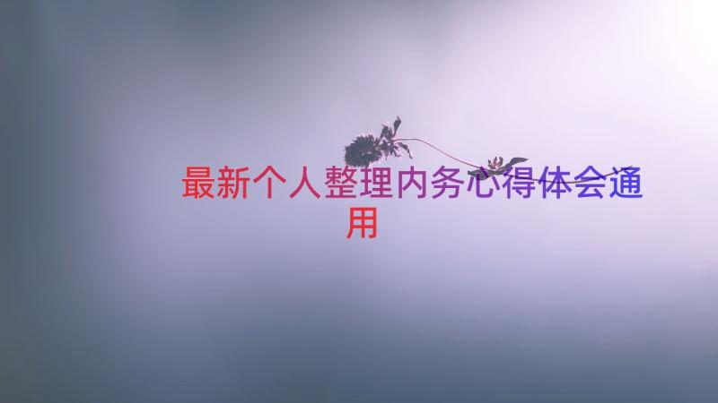 最新个人整理内务心得体会（通用13篇）