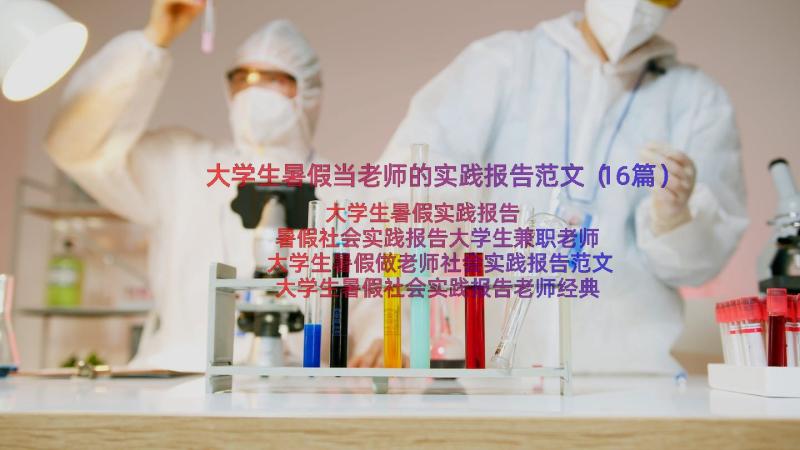 大学生暑假当老师的实践报告范文（16篇）