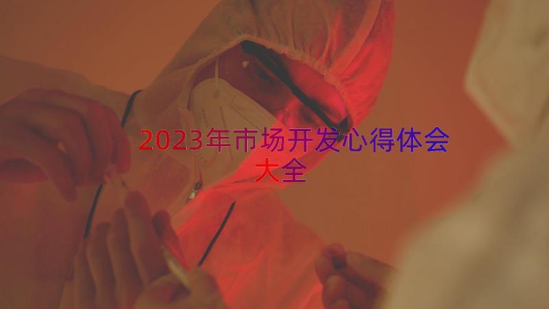 2023年市场开发心得体会大全（16篇）