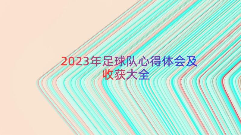 2023年足球队心得体会及收获大全（14篇）