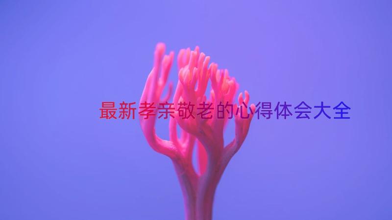 最新孝亲敬老的心得体会大全（20篇）