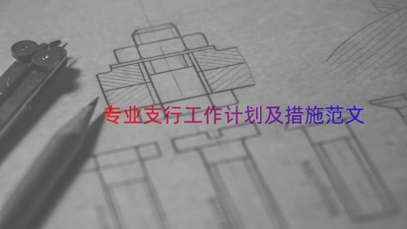 专业支行工作计划及措施范文（16篇）