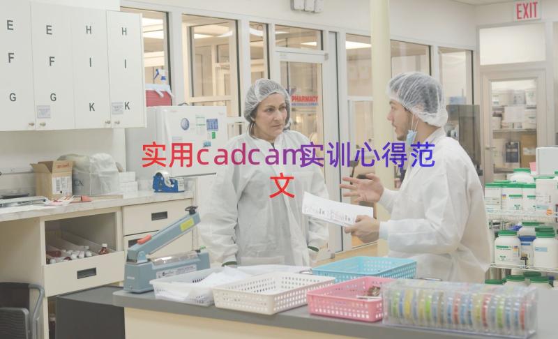 实用cadcam实训心得范文（14篇）