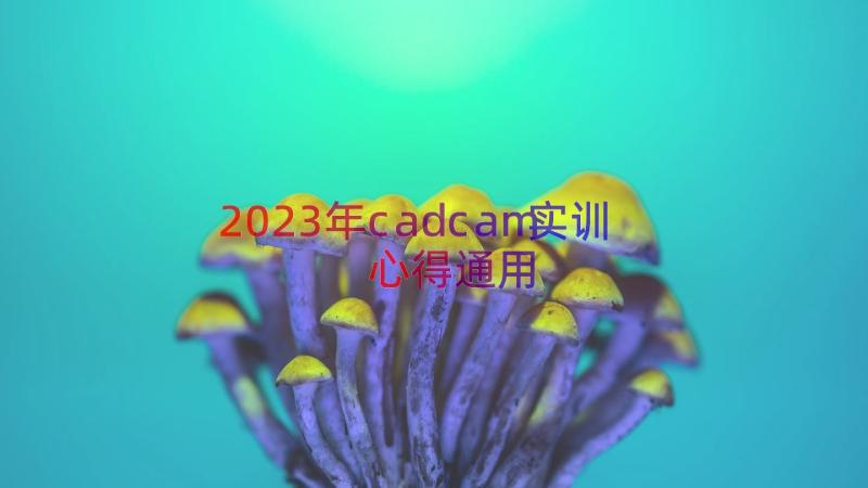 2023年cadcam实训心得（通用17篇）