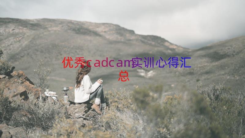 优秀cadcam实训心得（汇总15篇）