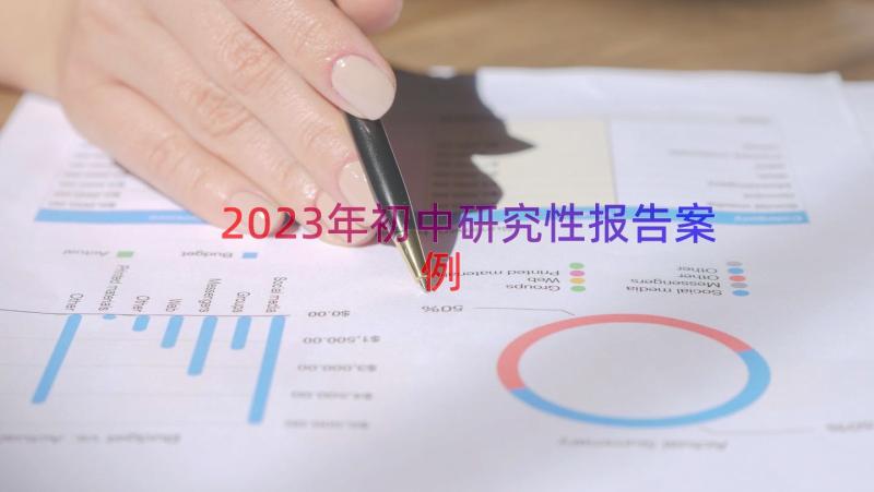 2023年初中研究性报告（案例17篇）