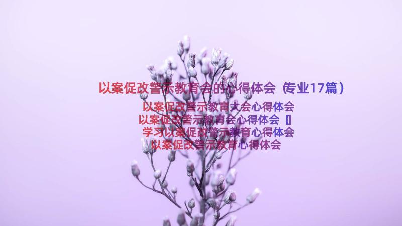 以案促改警示教育会的心得体会（专业17篇）