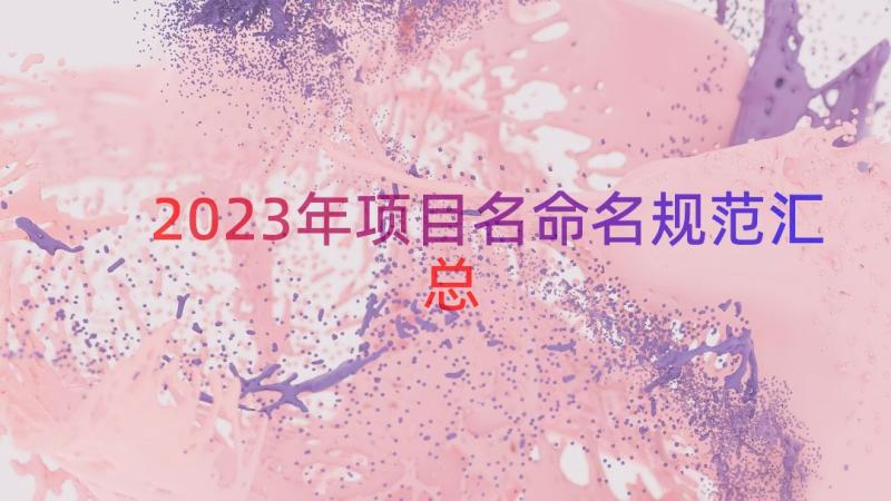 2023年项目名命名规范（汇总17篇）