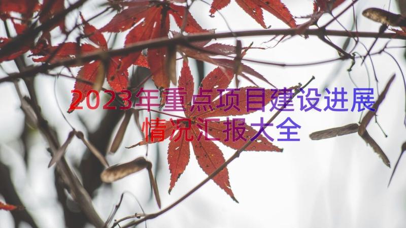 2023年重点项目建设进展情况汇报大全（16篇）