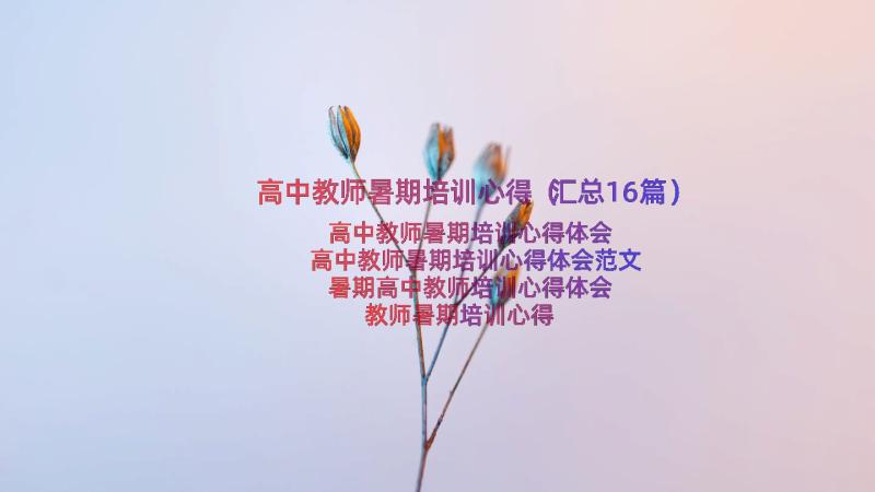 高中教师暑期培训心得（汇总16篇）