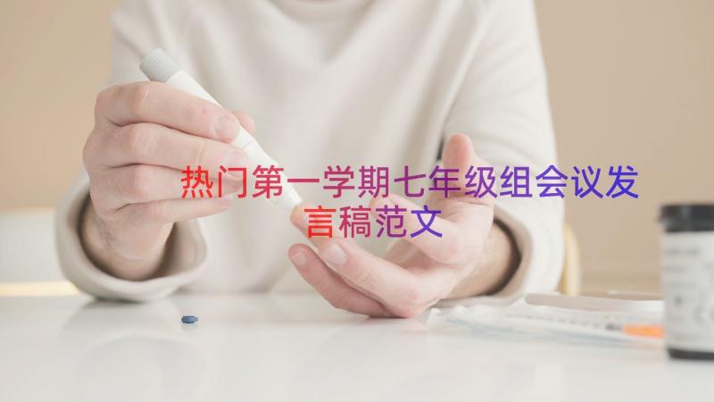 热门第一学期七年级组会议发言稿范文（16篇）