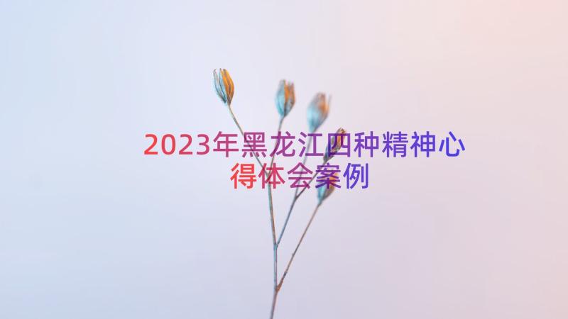 2023年黑龙江四种精神心得体会（案例13篇）