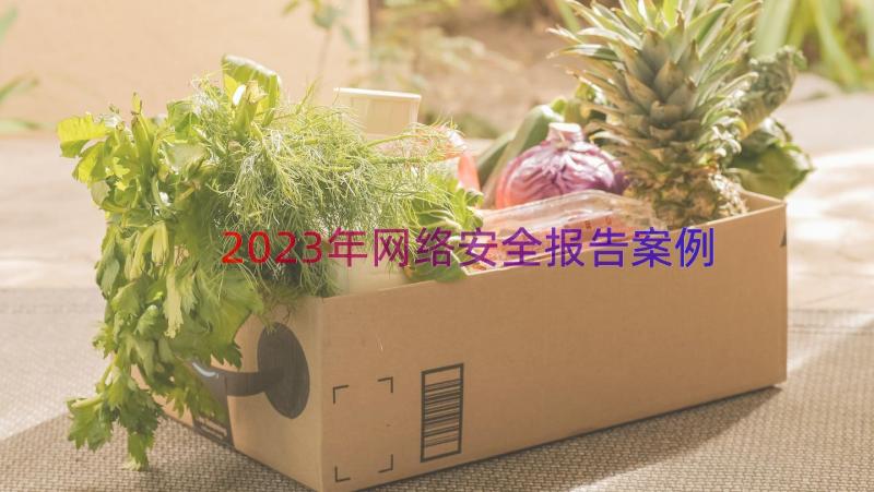 2023年网络安全报告（案例14篇）