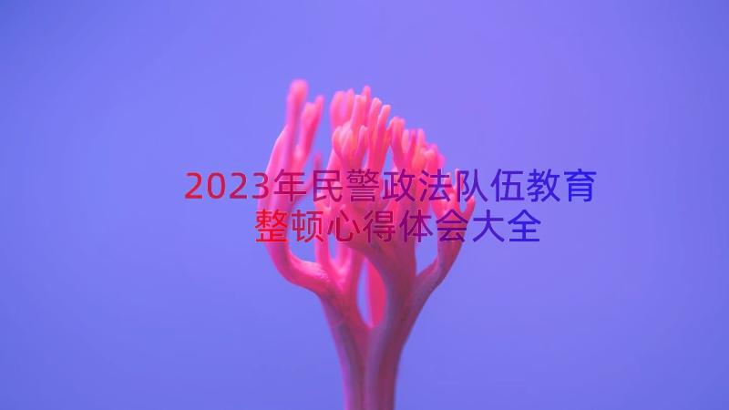 2023年民警政法队伍教育整顿心得体会大全（12篇）