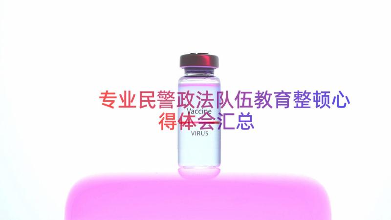 专业民警政法队伍教育整顿心得体会（汇总12篇）