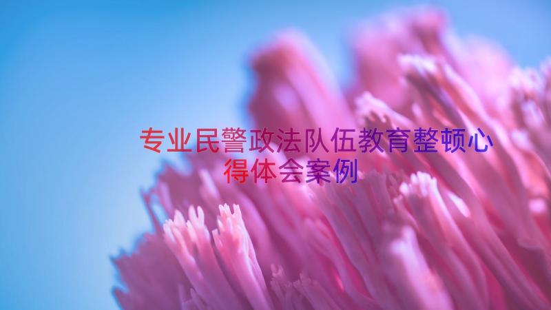 专业民警政法队伍教育整顿心得体会（案例13篇）