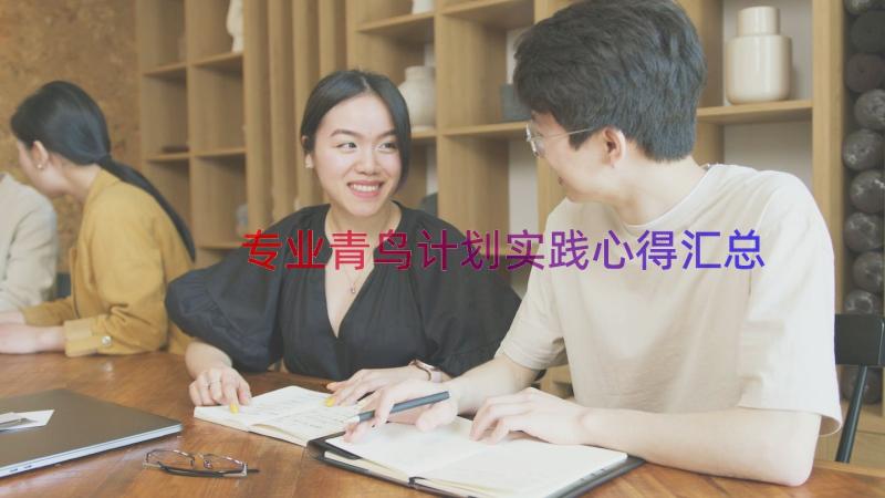 专业青鸟计划实践心得（汇总15篇）