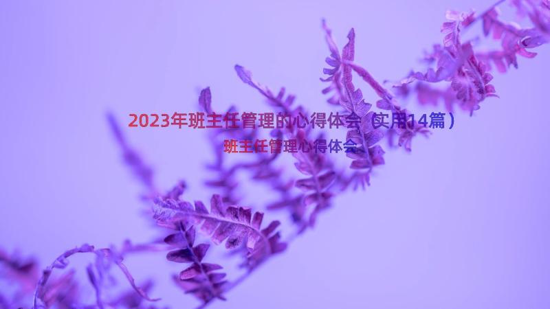 2023年班主任管理的心得体会（实用14篇）